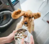 A puppy with a bowl of dog food.
